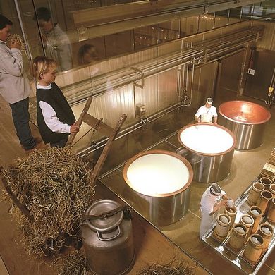 Milch & Käseproduktion in der ErlebnisSennerei Zillertal